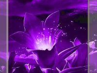 Фиолетовый цветы