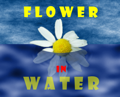 Цветок под водой